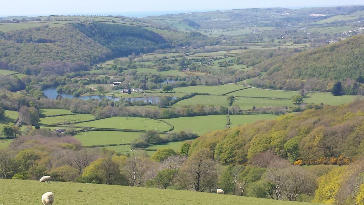 Fernlea Homestay Aberystwyth Ngoại thất bức ảnh