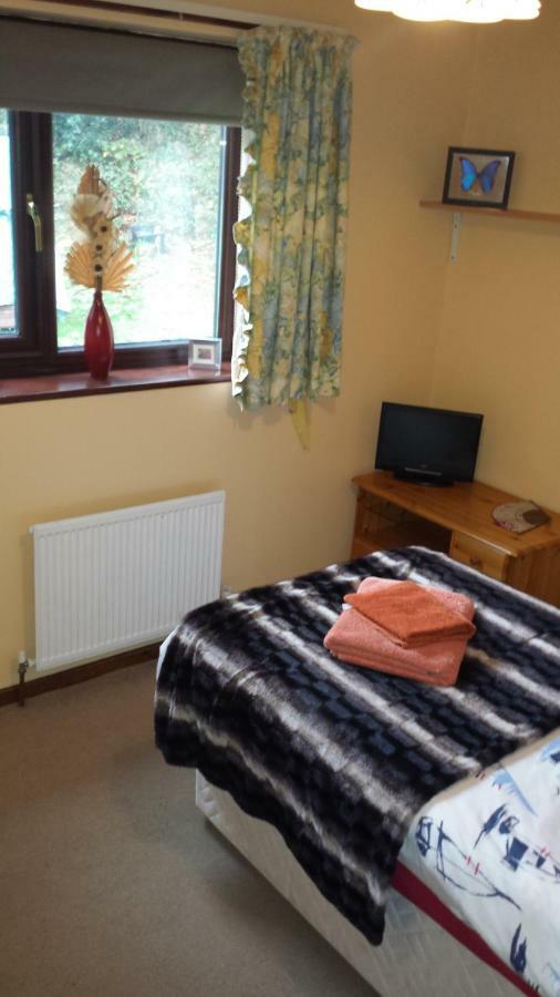 Fernlea Homestay Aberystwyth Ngoại thất bức ảnh